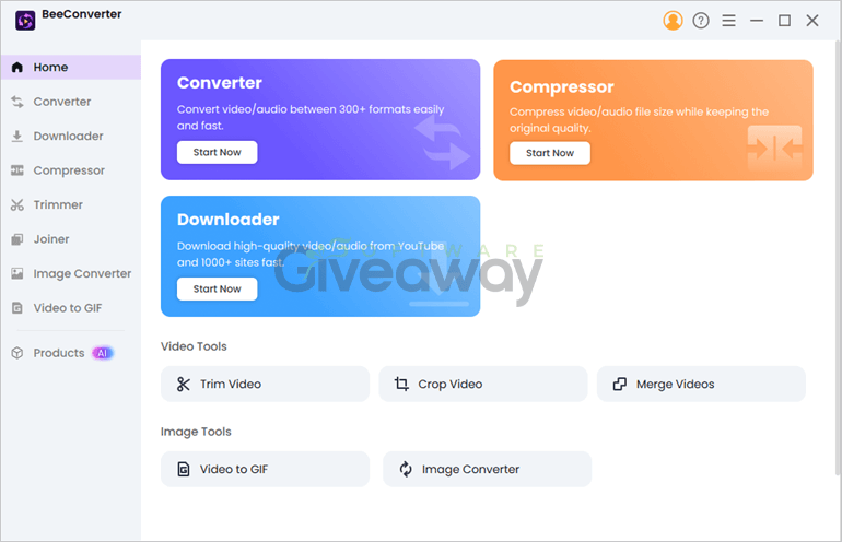 BeeConverter Pro for Windows (100% Discount) 1 BeeConverter Pro